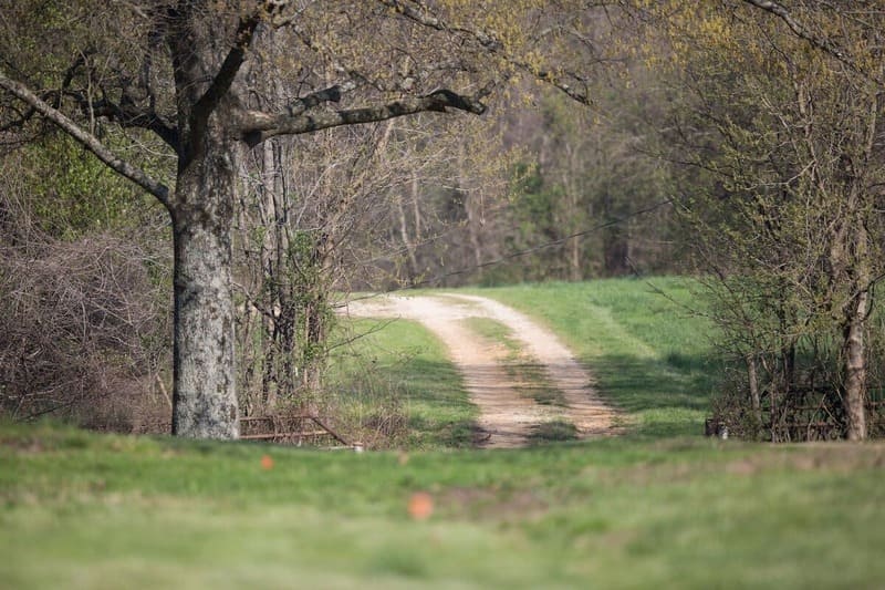 chemin